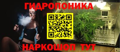 гидра Моздок