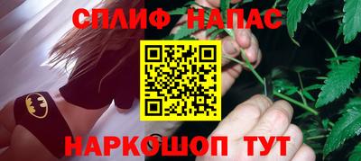 гидра Моздок